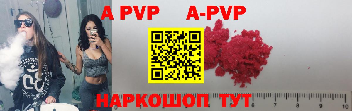 Альфа ПВП СК Дубна