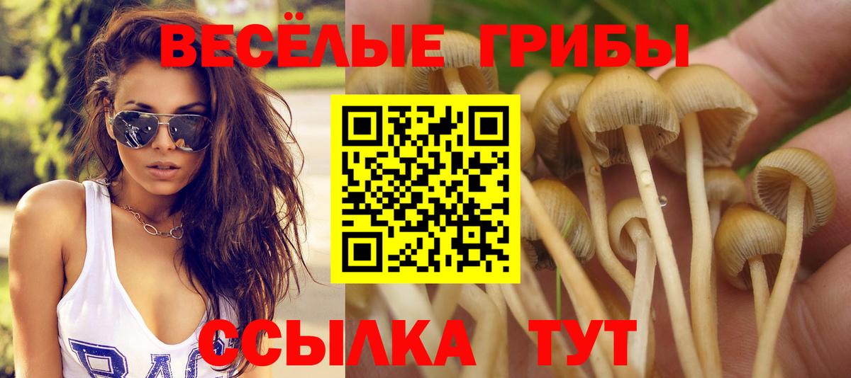 Галлюциногенные грибы MAGIC MUSHROOMS Дубна